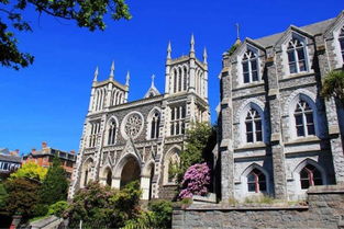 夢想照進(jìn)現(xiàn)實(shí) 在新西蘭學(xué)習(xí)動(dòng)漫技術(shù)開發(fā)，踏上成為下一個(gè)宮崎駿的旅程